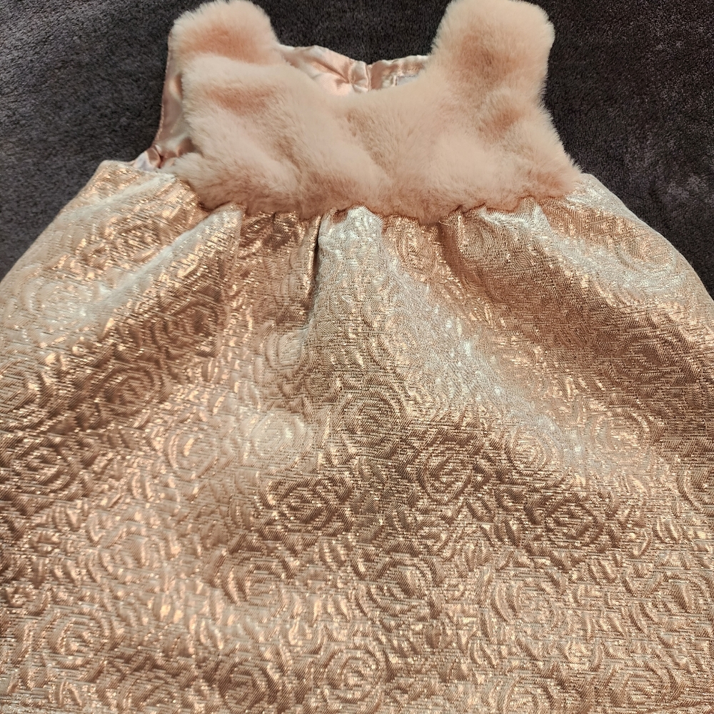 The Children's Place Dress